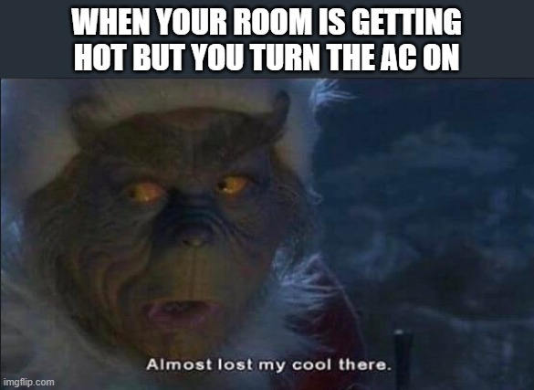 Almost Lost My Cool There | WHEN YOUR ROOM IS GETTING HOT BUT YOU TURN THE AC ON | image tagged in almost lost my cool there | made w/ Imgflip meme maker