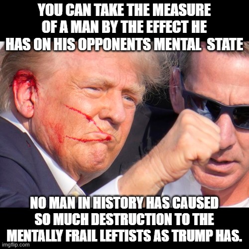 The G.O.A.T. | YOU CAN TAKE THE MEASURE OF A MAN BY THE EFFECT HE HAS ON HIS OPPONENTS MENTAL  STATE; NO MAN IN HISTORY HAS CAUSED SO MUCH DESTRUCTION TO THE MENTALLY FRAIL LEFTISTS AS TRUMP HAS. | image tagged in stupid liberals,funny memes,political humor,political meme,truth,donald trump approves | made w/ Imgflip meme maker