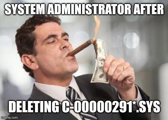 rich guy burning money | SYSTEM ADMINISTRATOR AFTER; DELETING C-00000291*.SYS | image tagged in rich guy burning money | made w/ Imgflip meme maker