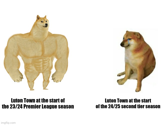 Am I the only one who wonders why England's second tier is called the Championship? | Luton Town at the start of the 23/24 Premier League season; Luton Town at the start of the 24/25 second tier season | image tagged in memes,buff doge vs cheems | made w/ Imgflip meme maker