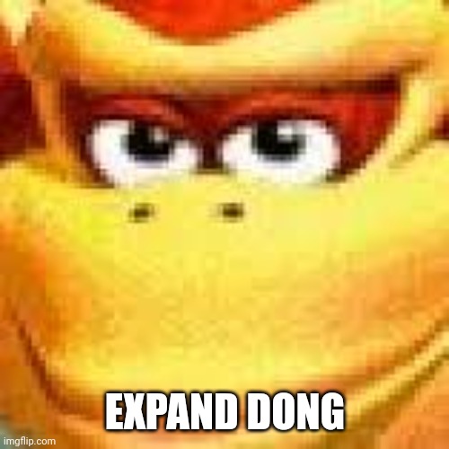 Expand Dong | EXPAND DONG | image tagged in expand dong | made w/ Imgflip meme maker