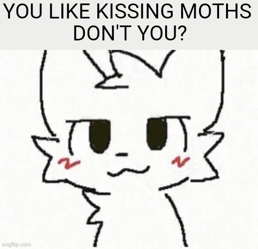 @nat | YOU LIKE KISSING MOTHS
 DON'T YOU? | image tagged in boykisser | made w/ Imgflip meme maker