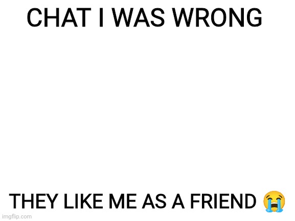 Blank White Template | CHAT I WAS WRONG; THEY LIKE ME AS A FRIEND 😭 | image tagged in blank white template | made w/ Imgflip meme maker
