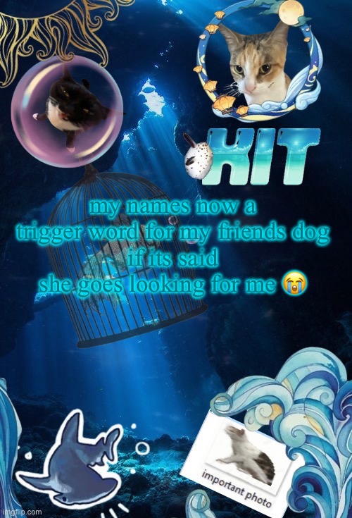 silly announcement template by asriel | my names now a trigger word for my friends dog
if its said she goes looking for me 😭 | image tagged in silly announcement template by asriel | made w/ Imgflip meme maker