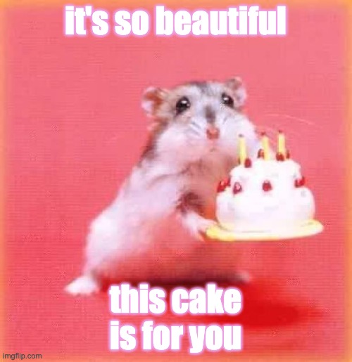 birthday hamster | it's so beautiful this cake
is for you | image tagged in birthday hamster | made w/ Imgflip meme maker