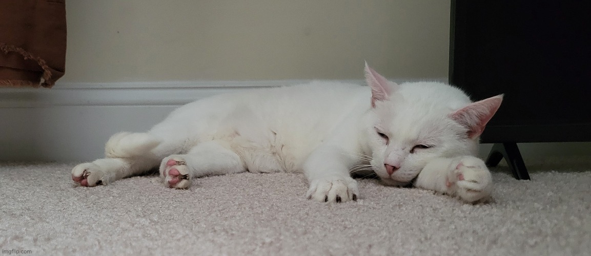 Cta 2: closet | made w/ Imgflip meme maker