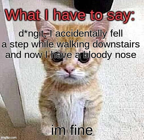 what star has to say | d*ngit, I accidentally fell a step while walking downstairs and now I have a bloody nose; im fine | image tagged in what star has to say | made w/ Imgflip meme maker