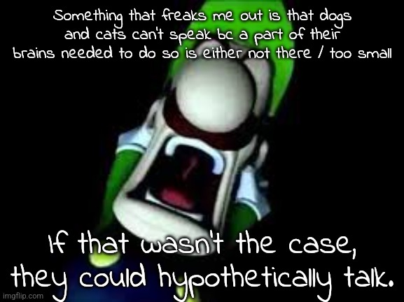 Those vids of them sounding like they're speaking? Those are real (and close) attempts at doing so. | Something that freaks me out is that dogs and cats can't speak bc a part of their brains needed to do so is either not there / too small; If that wasn't the case, they could hypothetically talk. | image tagged in luigi screaming | made w/ Imgflip meme maker