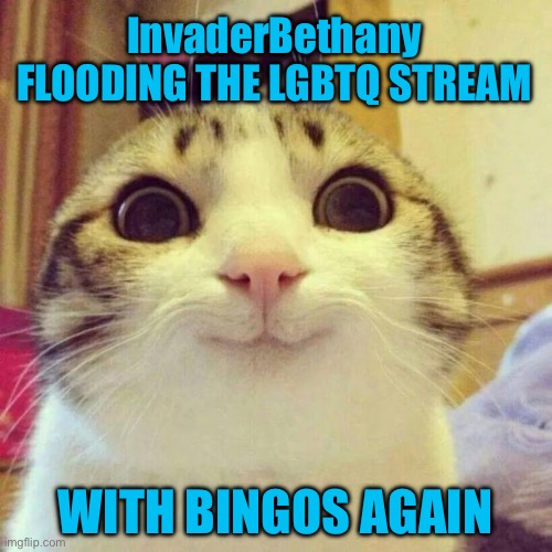 Shitpost: InvaderBethany flooding the LGBTQ stream with bingos again | InvaderBethany FLOODING THE LGBTQ STREAM; WITH BINGOS AGAIN | image tagged in smiling cat,cats,cat,bingo,lgbtq | made w/ Imgflip meme maker