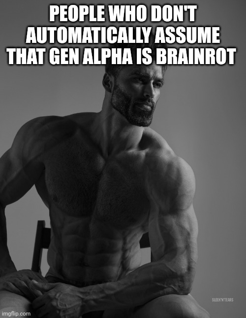 There are those who have no idea what toilets are and those who live in ohio | PEOPLE WHO DON'T AUTOMATICALLY ASSUME THAT GEN ALPHA IS BRAINROT | image tagged in giga chad,gen alpha,memes | made w/ Imgflip meme maker
