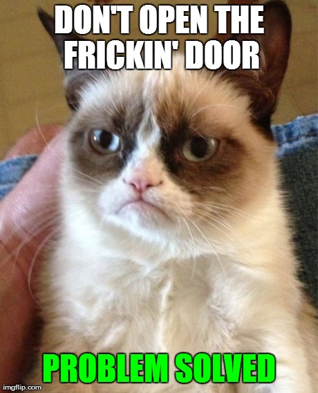Grumpy Cat Meme | DON'T OPEN THE FRICKIN' DOOR PROBLEM SOLVED | image tagged in memes,grumpy cat | made w/ Imgflip meme maker