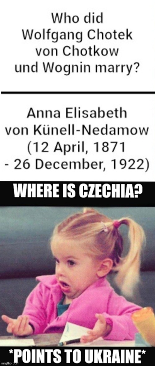 Me irl though - I have a strange patchwork of knowledge | image tagged in idk girl,choteks,wolfgang chotek,anna elisabeth von kunell-nedamow,czechia,czech republic | made w/ Imgflip meme maker