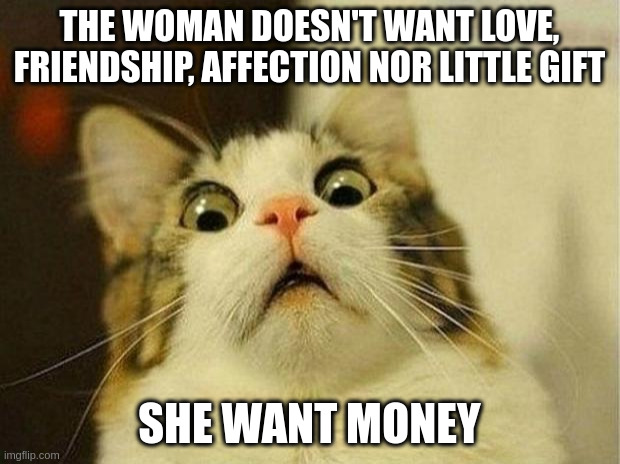 money | THE WOMAN DOESN'T WANT LOVE, FRIENDSHIP, AFFECTION NOR LITTLE GIFT; SHE WANT MONEY | image tagged in memes,scared cat | made w/ Imgflip meme maker