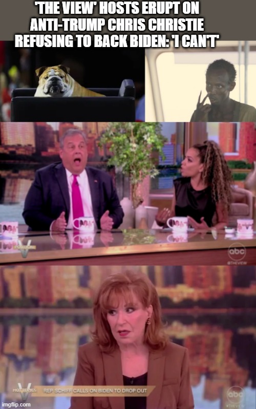 Flabby & Floopy | 'THE VIEW' HOSTS ERUPT ON ANTI-TRUMP CHRIS CHRISTIE REFUSING TO BACK BIDEN: 'I CAN'T' | image tagged in memes,i'm the captain now | made w/ Imgflip meme maker