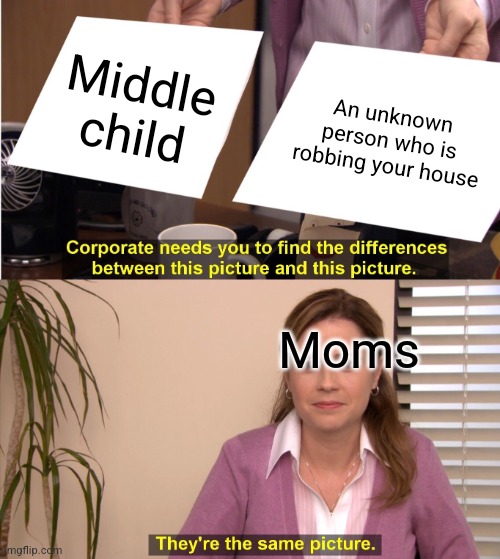 Moms be like: | Middle child; An unknown person who is robbing your house; Moms | image tagged in memes,they're the same picture | made w/ Imgflip meme maker