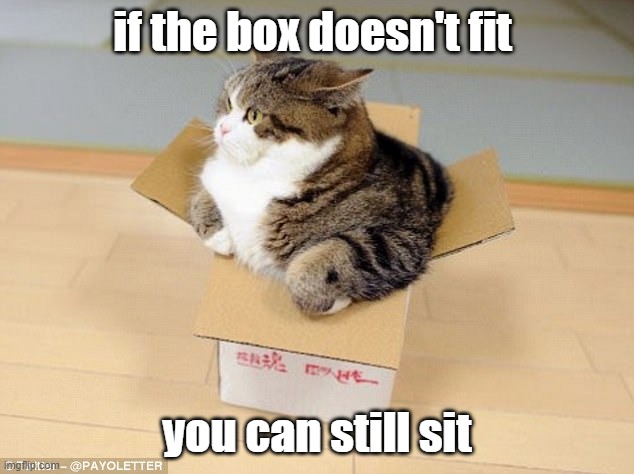 cat that doesn't fit in box | if the box doesn't fit you can still sit | image tagged in cat that doesn't fit in box | made w/ Imgflip meme maker