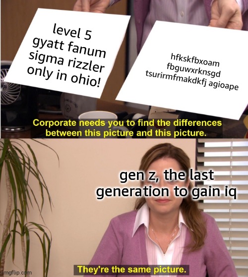 They're The Same Picture | level 5 gyatt fanum sigma rizzler only in ohio! hfkskfbxoam fbguwxrknsgd tsurirmfmakdkfj agioape; gen z, the last generation to gain iq | image tagged in memes,they're the same picture | made w/ Imgflip meme maker