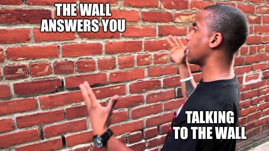 Talking to wall | THE WALL ANSWERS YOU TALKING TO THE WALL | image tagged in talking to wall | made w/ Imgflip meme maker