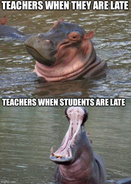 TEACHERS WHEN THEY ARE LATE; TEACHERS WHEN STUDENTS ARE LATE | image tagged in smiling hippo,hippo mouth open | made w/ Imgflip meme maker