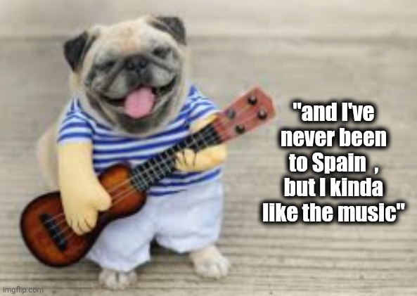 Doggo with Ukulele | "and I've never been to Spain  , but I kinda like the music" | image tagged in doggo with ukulele | made w/ Imgflip meme maker