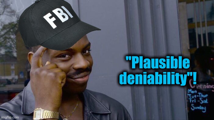 Roll Safe Think About It Meme | "Plausible
deniability"! | image tagged in memes,roll safe think about it | made w/ Imgflip meme maker