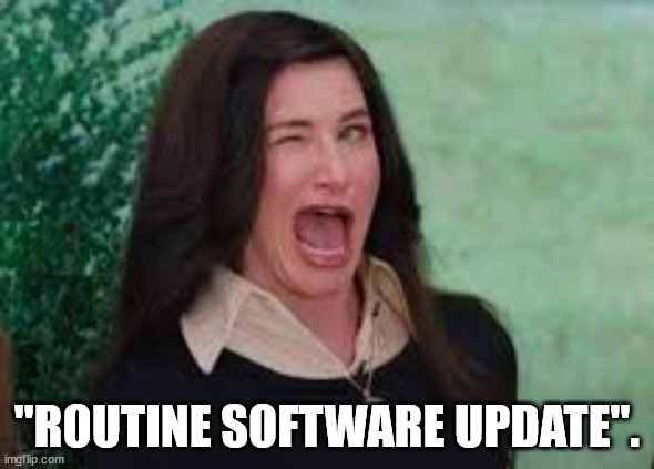 Agatha Harkness wink | "ROUTINE SOFTWARE UPDATE". | image tagged in agatha harkness wink | made w/ Imgflip meme maker