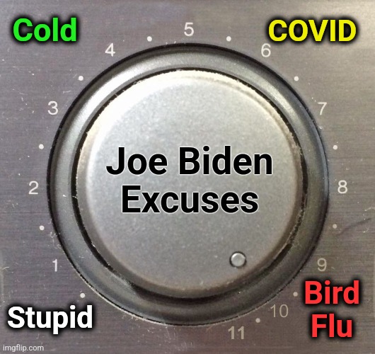 Joe Biden excuses | Cold; COVID; Joe Biden
Excuses; Bird
Flu; Stupid | image tagged in dial,memes,joe biden,excuses,democrats,dementia | made w/ Imgflip meme maker
