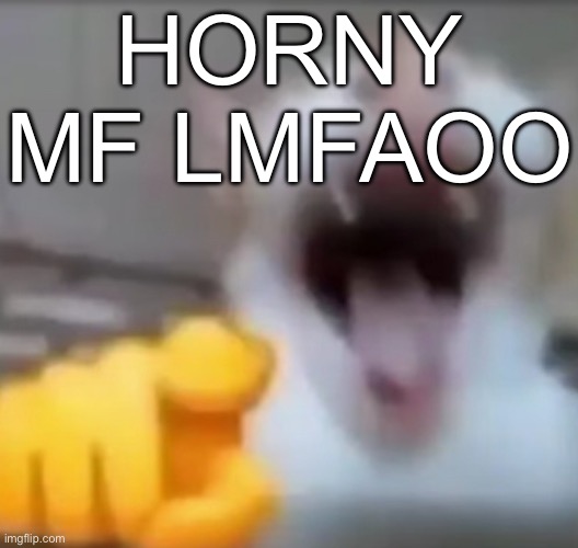 Cat pointing and laughing | HORNY MF LMFAOO | image tagged in cat pointing and laughing | made w/ Imgflip meme maker