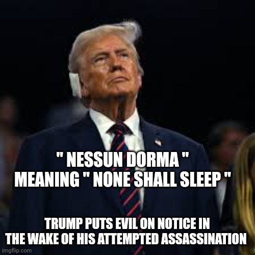 Donald Trump | " NESSUN DORMA " 
MEANING " NONE SHALL SLEEP "; TRUMP PUTS EVIL ON NOTICE IN THE WAKE OF HIS ATTEMPTED ASSASSINATION | image tagged in conspiracy theory,conspiracy,conspiracy theories,tinfoil hat,maga,make america great again | made w/ Imgflip meme maker