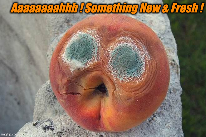 Mold | Aaaaaaaahhh ! Something New & Fresh ! | image tagged in mold | made w/ Imgflip meme maker