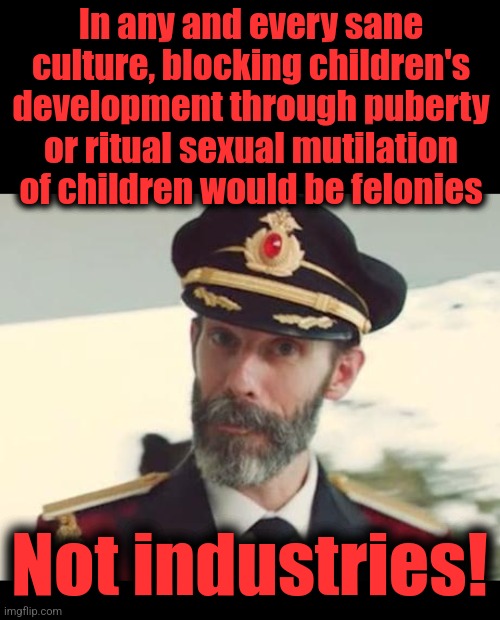 In any and every sane
culture, blocking children's
development through puberty
or ritual sexual mutilation
of children would be felonies Not | image tagged in captain obvious,blank black | made w/ Imgflip meme maker