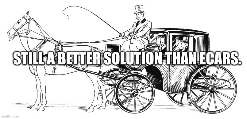 Ecars are worth less than a horses excrement. | STILL A BETTER SOLUTION THAN ECARS. | image tagged in horse and buggy | made w/ Imgflip meme maker