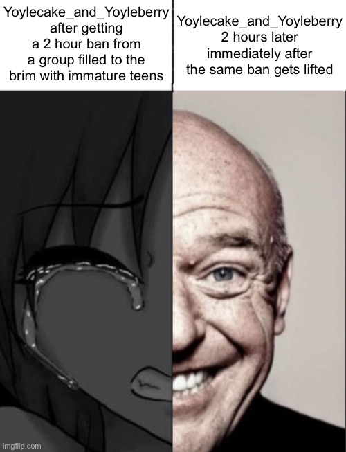 Yoylecake_and_Yoyleberry 2 hours later immediately after the same ban gets lifted; Yoylecake_and_Yoyleberry after getting a 2 hour ban from a group filled to the brim with immature teens | made w/ Imgflip meme maker