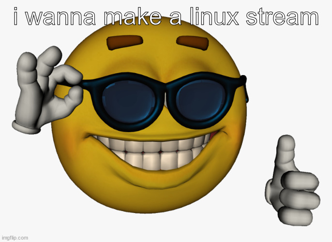 Cool guy emoji | i wanna make a linux stream | image tagged in cool guy emoji,linux | made w/ Imgflip meme maker