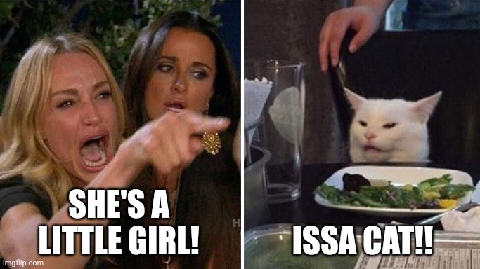 Hello Kitty | SHE'S A LITTLE GIRL! ISSA CAT!! | image tagged in angry lady cat | made w/ Imgflip meme maker