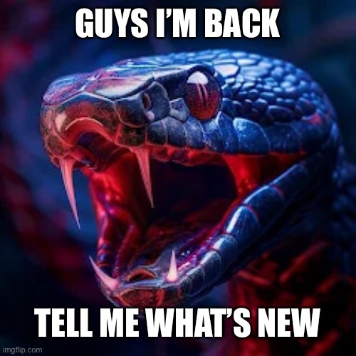If anyone is wondering I was gone for 5 days | GUYS I’M BACK; TELL ME WHAT’S NEW | image tagged in snakevenom announcement template | made w/ Imgflip meme maker