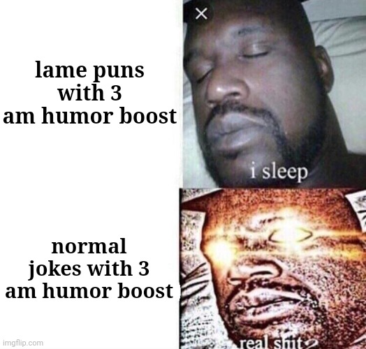 i sleep real shit | lame puns with 3 am humor boost; normal jokes with 3 am humor boost | image tagged in i sleep real shit | made w/ Imgflip meme maker