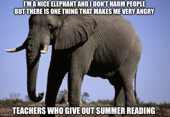 your mom | I’M A NICE ELEPHANT AND I DON’T HARM PEOPLE
BUT THERE IS ONE THING THAT MAKES ME VERY ANGRY; TEACHERS WHO GIVE OUT SUMMER READING | image tagged in your mom | made w/ Imgflip meme maker