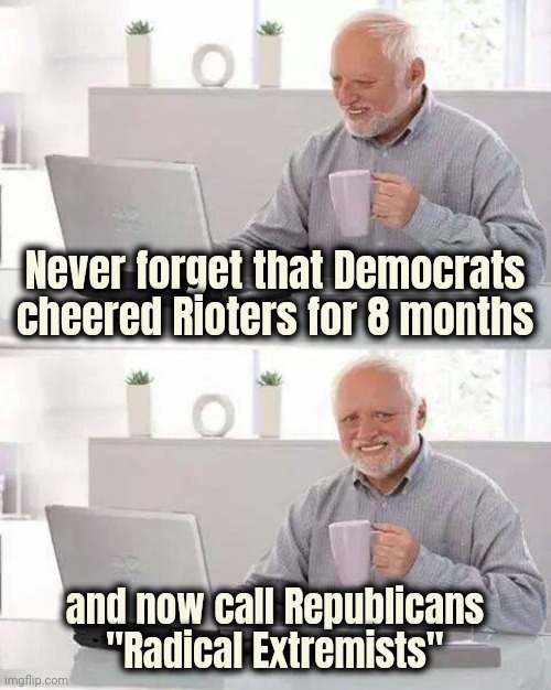 Mirror , Mirror , on the wall | Never forget that Democrats cheered Rioters for 8 months; and now call Republicans "Radical Extremists" | image tagged in memes,hide the pain harold,no u,baby killers,pedophiles,but wait there's more | made w/ Imgflip meme maker