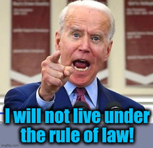 Joe Biden no malarkey | I will not live under
the rule of law! | image tagged in joe biden no malarkey | made w/ Imgflip meme maker