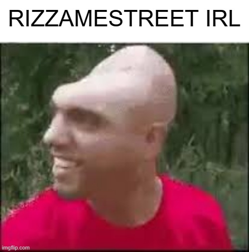 Dishweed | RIZZAMESTREET IRL | image tagged in dishweed | made w/ Imgflip meme maker