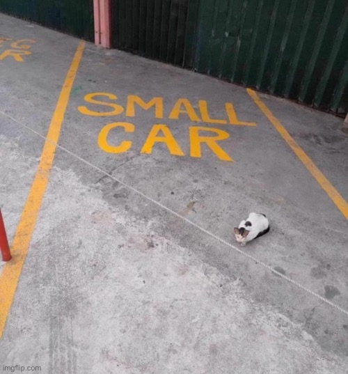 Car | made w/ Imgflip meme maker