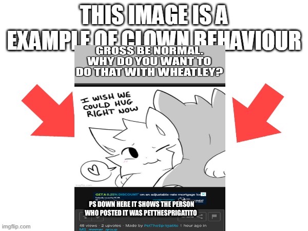 This image is a example of clown behaviour | PS DOWN HERE IT SHOWS THE PERSON WHO POSTED IT WAS PETTHESPRIGATITO | image tagged in this image is a example of clown behaviour | made w/ Imgflip meme maker