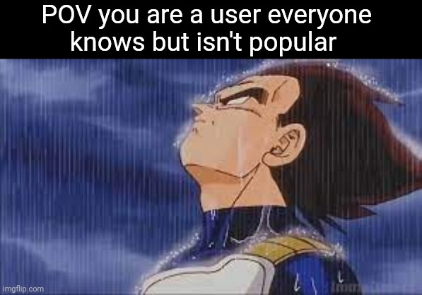 sad vegeta | POV you are a user everyone knows but isn't popular | image tagged in sad vegeta | made w/ Imgflip meme maker