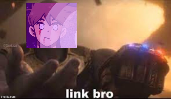 link bro | image tagged in link bro | made w/ Imgflip meme maker