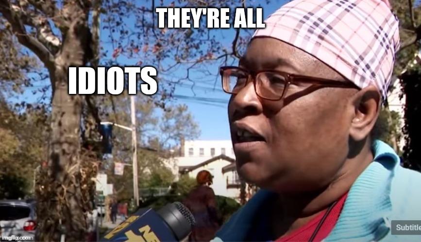 Idiots | THEY'RE ALL | image tagged in idiots | made w/ Imgflip meme maker