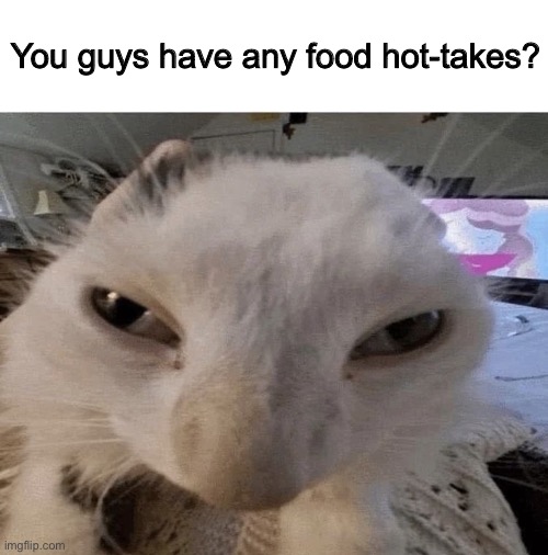 Pluh cat | You guys have any food hot-takes? | image tagged in g | made w/ Imgflip meme maker