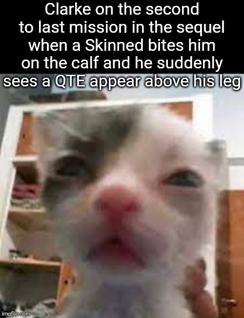 Cat lightskin stare | Clarke on the second to last mission in the sequel when a Skinned bites him on the calf and he suddenly sees a QTE appear above his leg | image tagged in cat lightskin stare | made w/ Imgflip meme maker