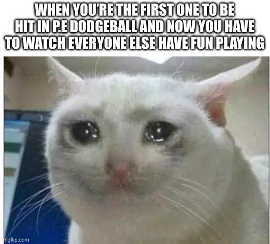 crying cat | WHEN YOU’RE THE FIRST ONE TO BE HIT IN P.E DODGEBALL AND NOW YOU HAVE TO WATCH EVERYONE ELSE HAVE FUN PLAYING | image tagged in crying cat | made w/ Imgflip meme maker