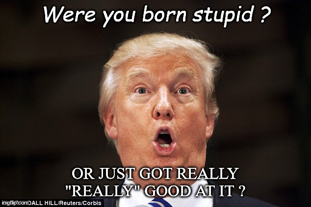 Whole new stupid in town. | Were you born stupid ? OR JUST GOT REALLY "REALLY" GOOD AT IT ? | image tagged in trump stupid face | made w/ Imgflip meme maker